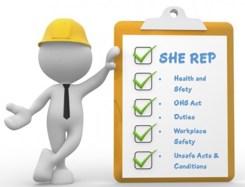 Read more about the article SHE Rep Training in Pretoria